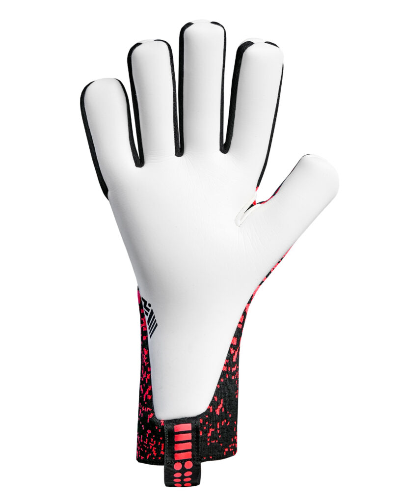 instintic-coral-2
